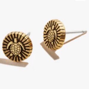 Alex and Ani Gold Turtle Earrings